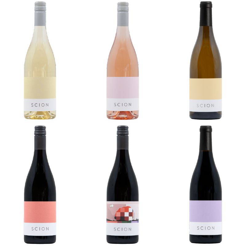 Set of six Scion wine bottles in various colors on a white background