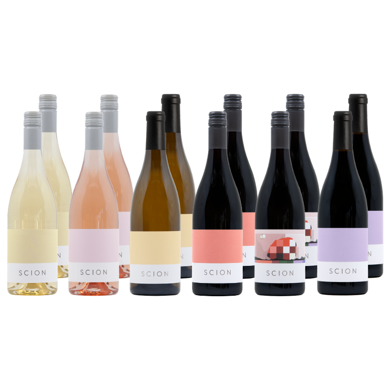 Collection of Scion wine bottles in various colors on a white background