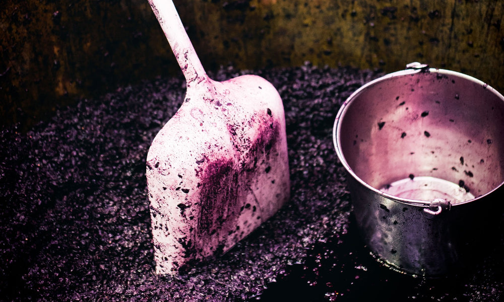 Purple stained shovel and bucket sitting on pressed grapes in concrete wine vat