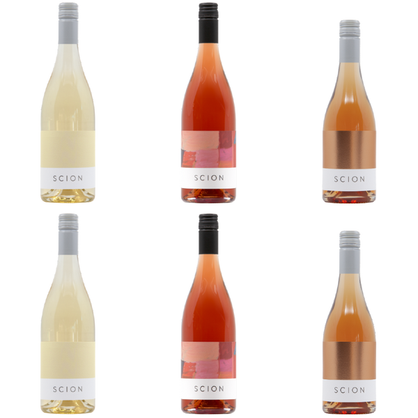Six bottles of wine with coloured labels