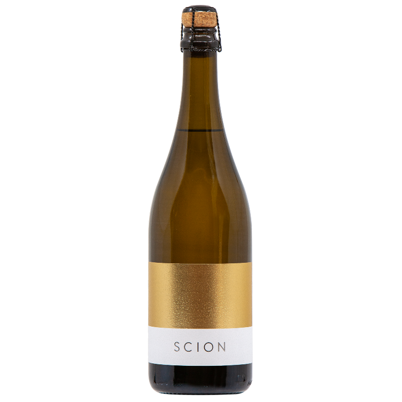 Poolside Dreams 2025