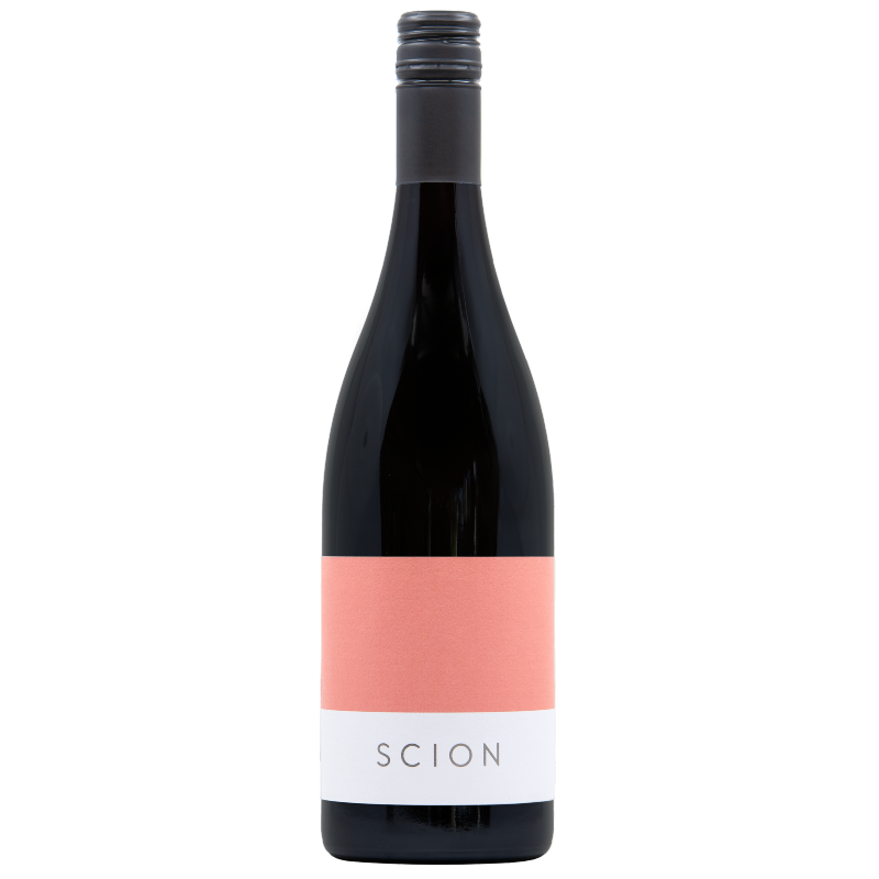 Syrah 2023