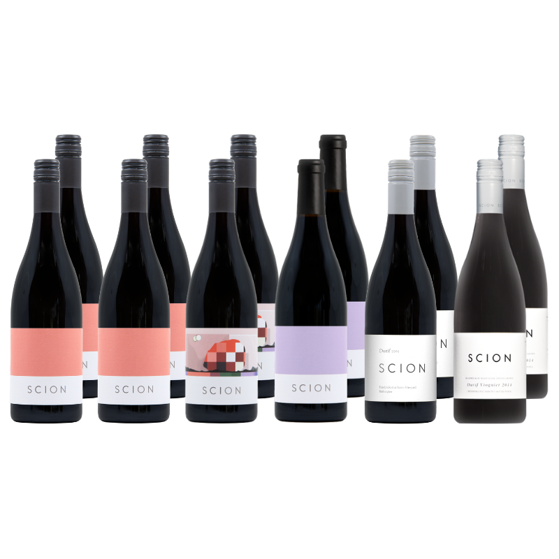 Multiple bottles of Scion wine with various colored labels on a white background