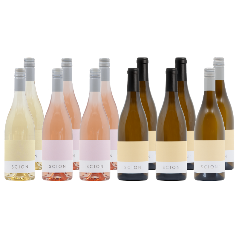 Collection of Scion wine bottles in various colors on a white background
