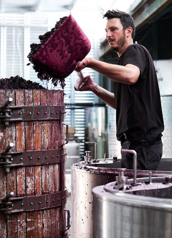 Man standing in tank shovelling grapes into basket press